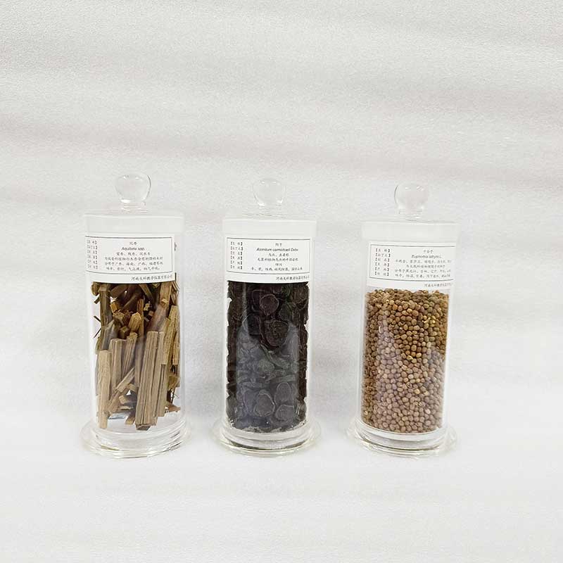 中草药植物标本