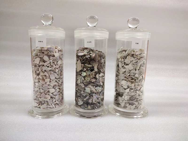 中草药植物标本