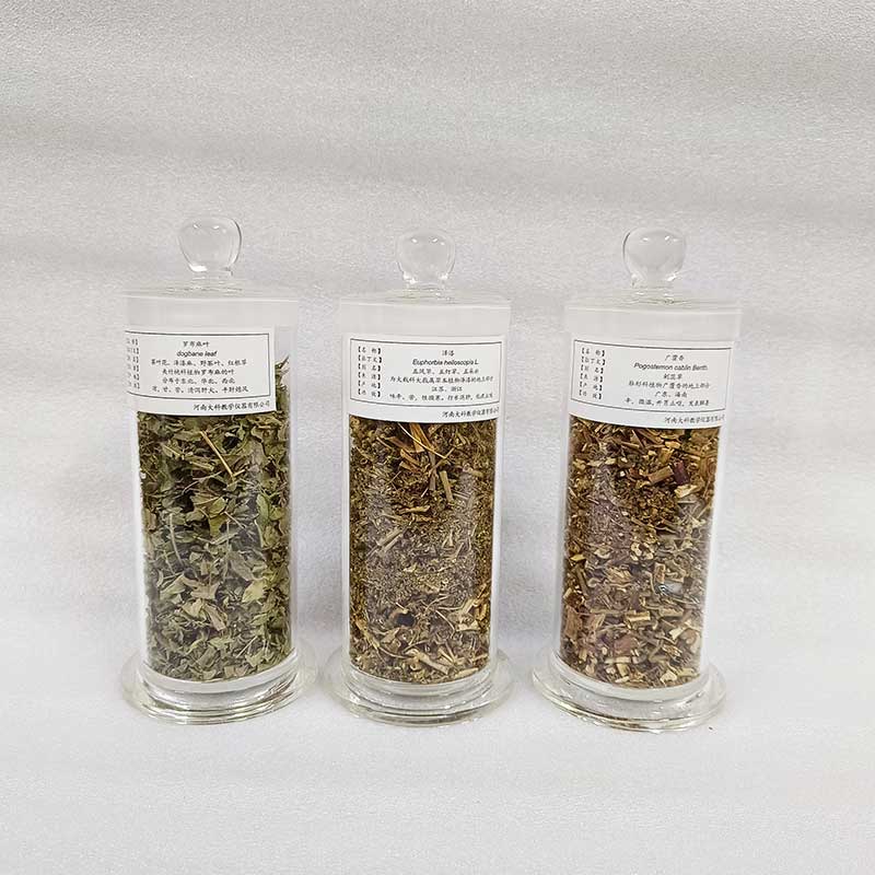 中草药植物标本
