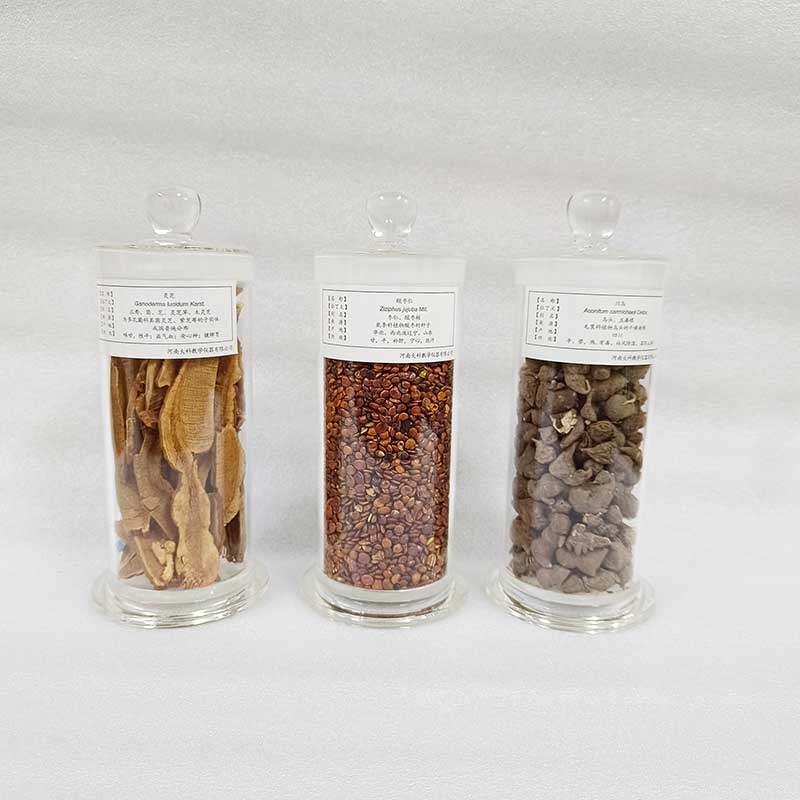 中草药植物标本