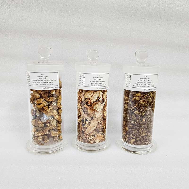 中草药植物标本